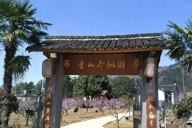 丰集青山桃园