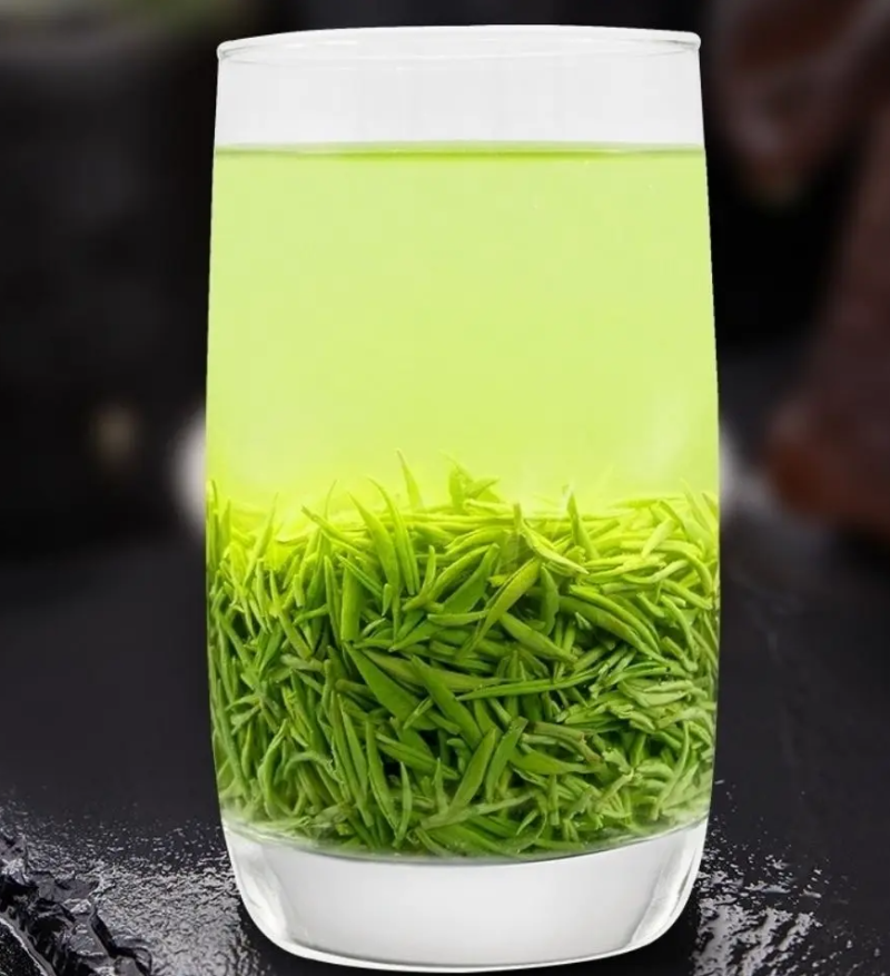 信阳毛尖明前茶