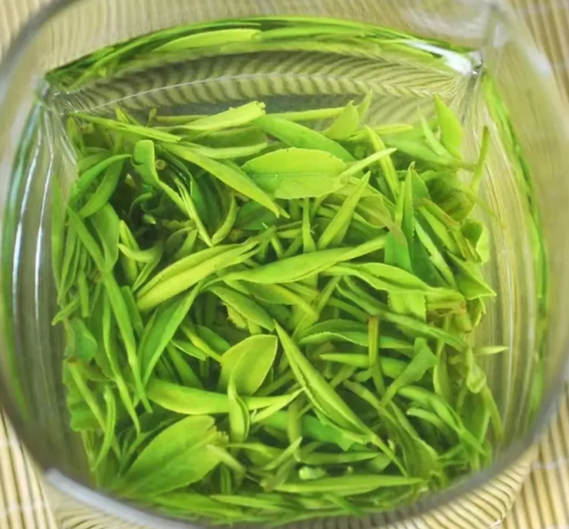 中等信阳毛尖价格是多少钱