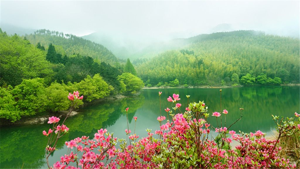黄柏山国家森林公园有哪些好玩的