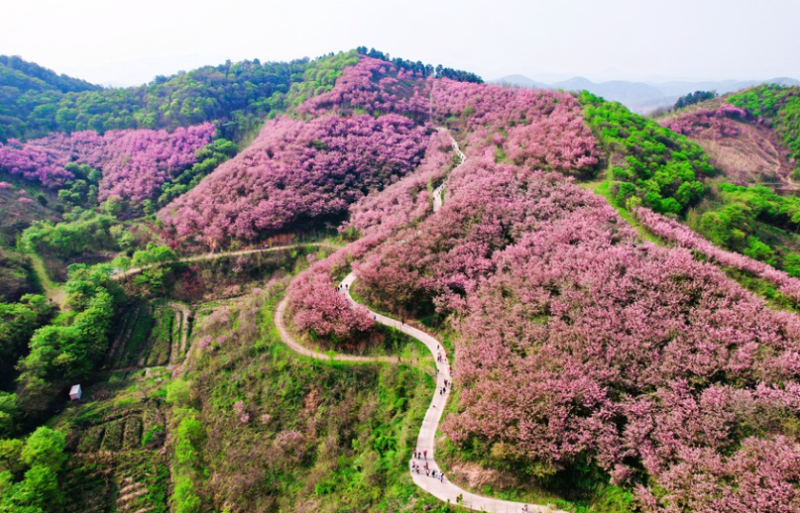 思乡谷景区