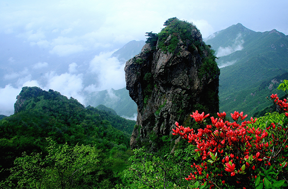 金刚台猫耳峰景区