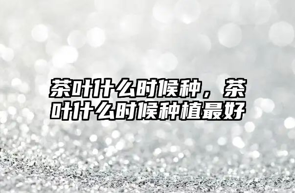 茶叶什么时候种，茶叶什么时候种植最好