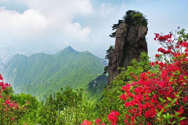 金刚台猫耳峰景区门票及游玩攻略